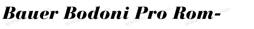 Bauer Bodoni Pro Rom字体转换